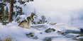 Snowy Scenes - Fenske Art
