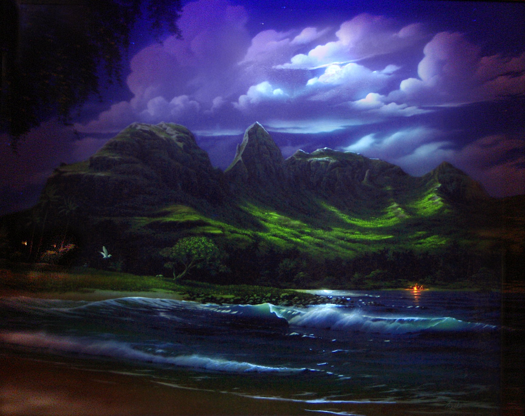 Beautify Kauai - Fenske Art